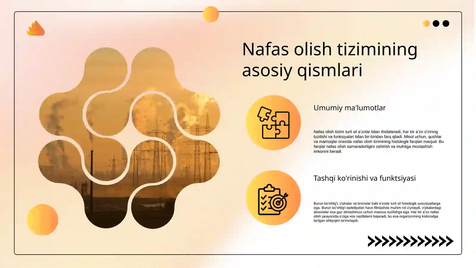 Nafas olish aʼzolarining qiyosiy gistalogik tasnifi 3