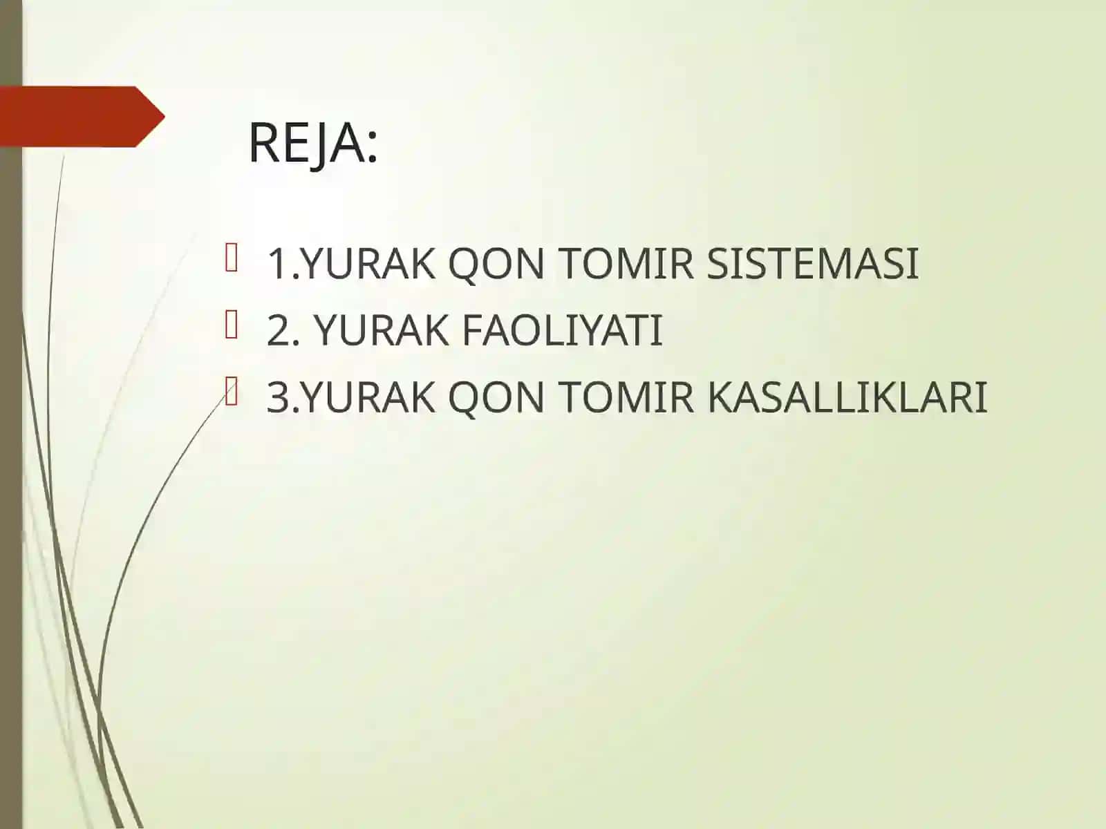 Yurak-qon tomir sistemasining tuzilishi 3