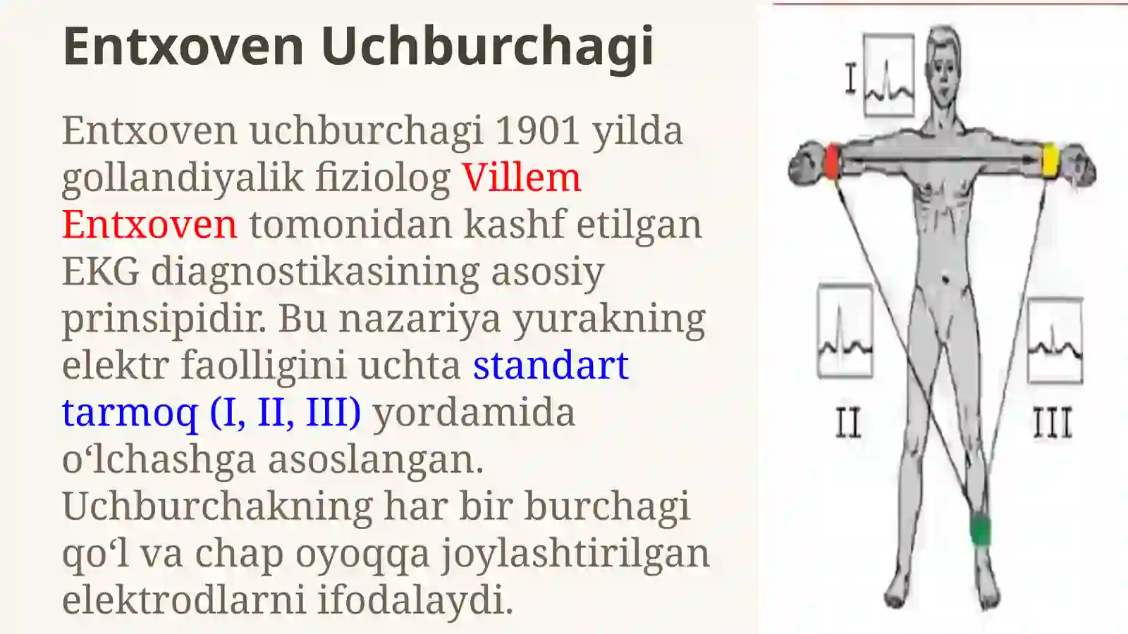 Elektrokardiografiya 3