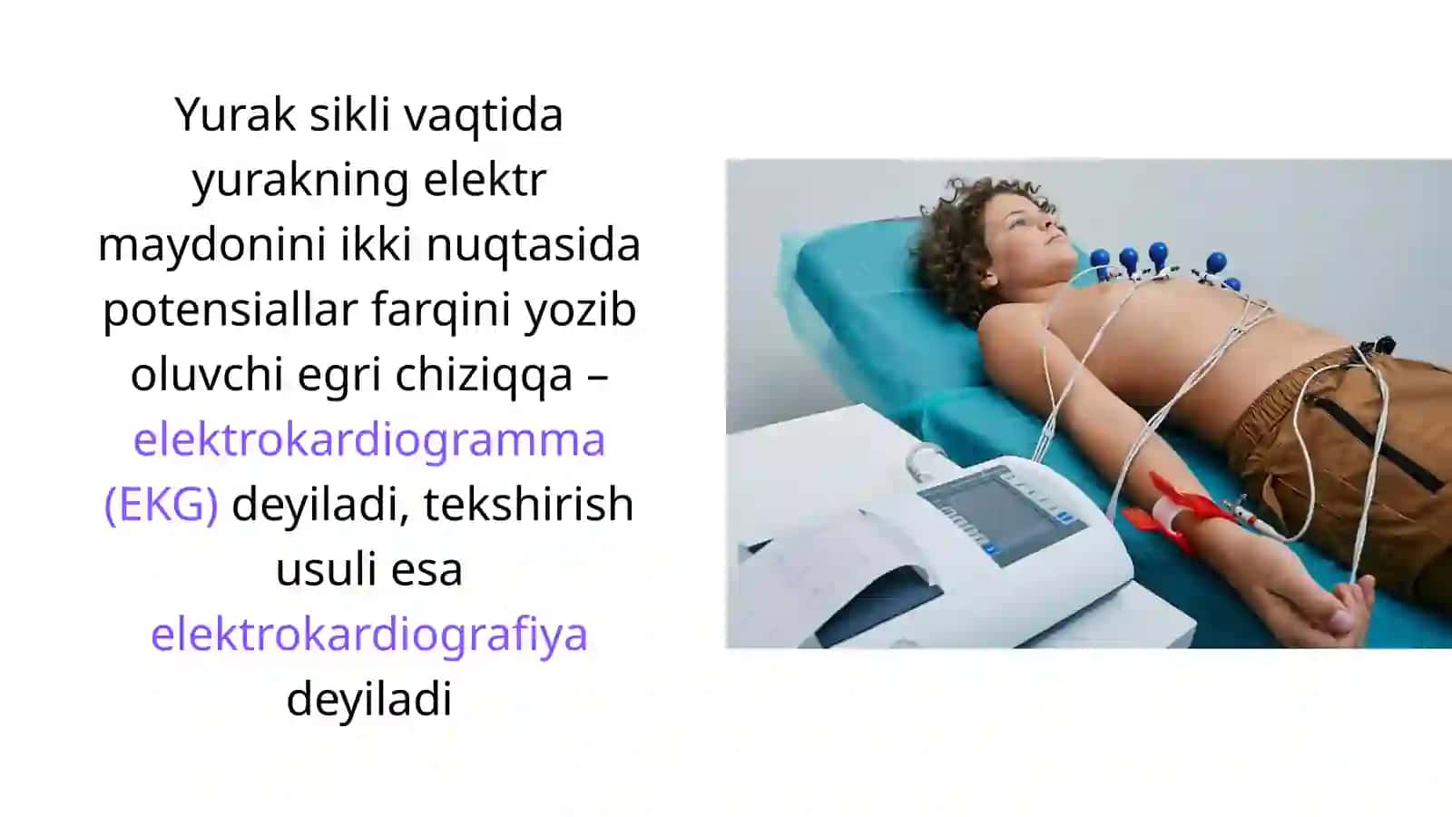 Elektrokardiografiya 3