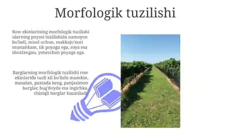 Poliz ekinlarining morfologik va biologik xususiyatlari 3