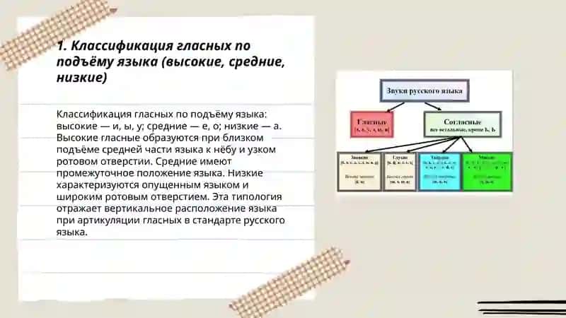 Классификация гласных и согласных звуков русского языка 3