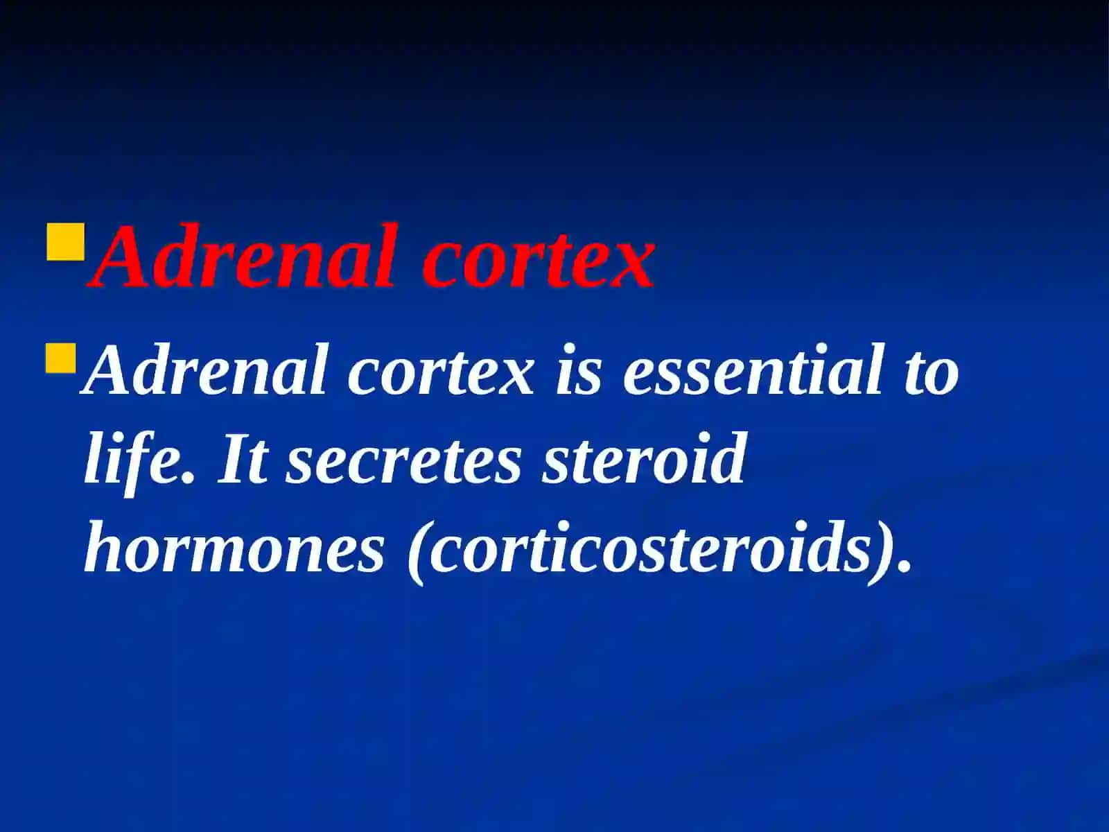 Adrenal glands 3