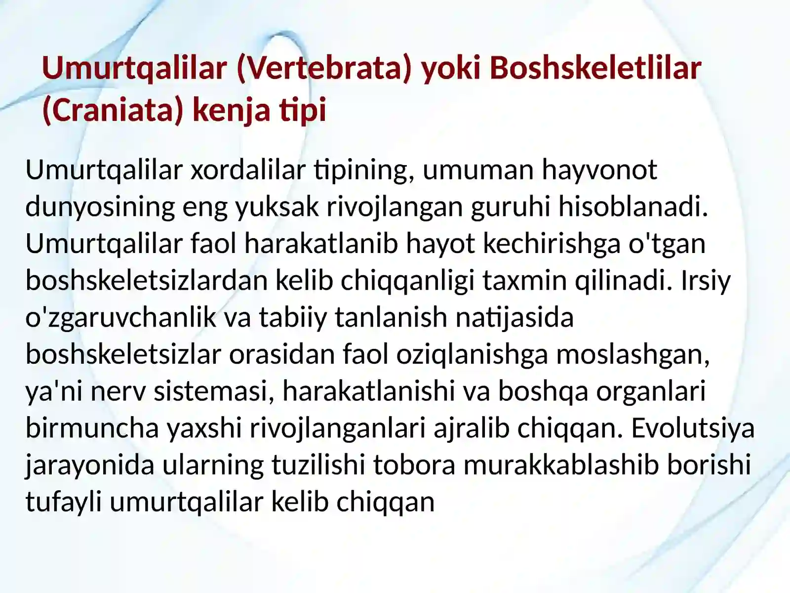 Umurtqalilar kenjatipi 3