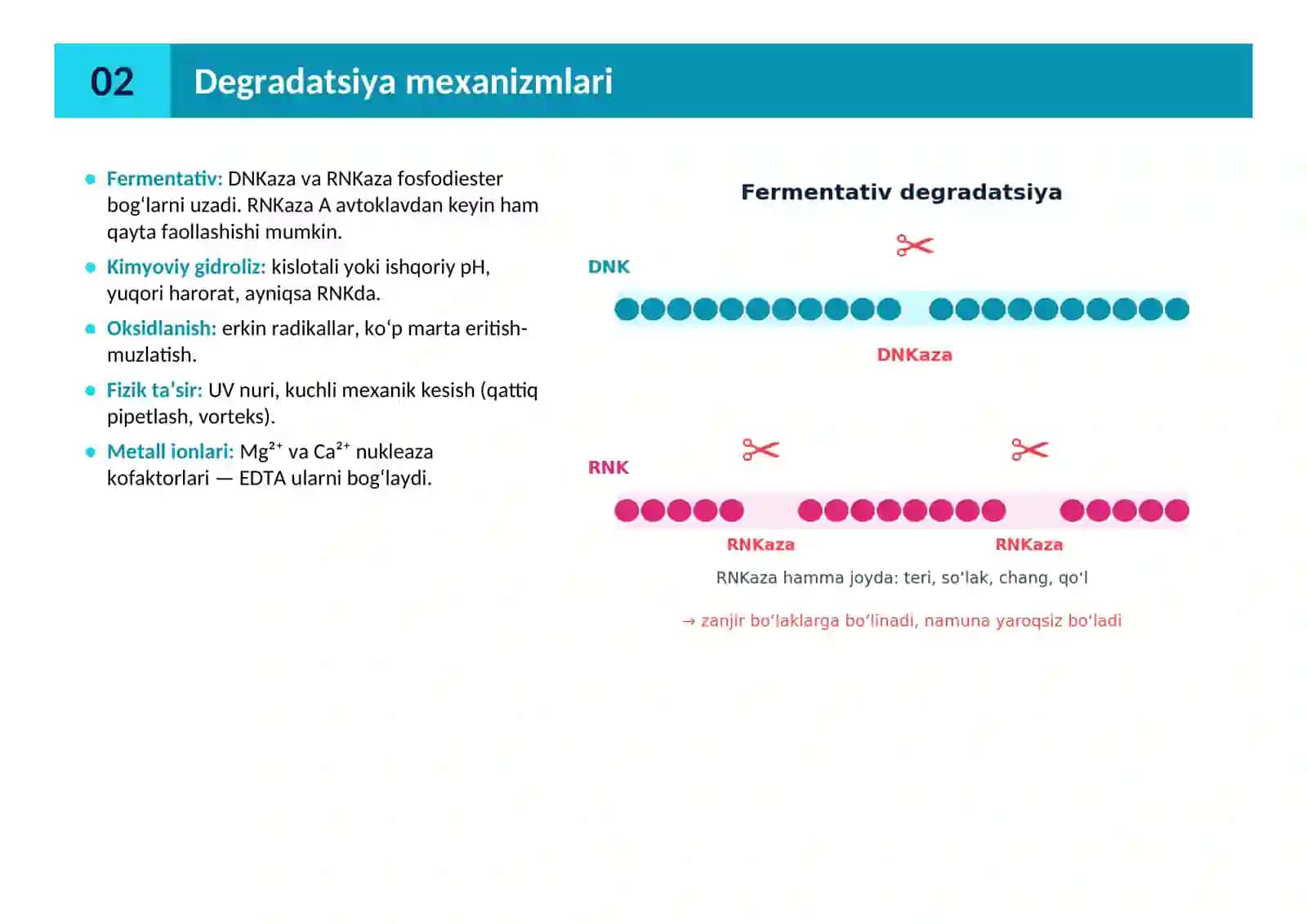 DNK/RNK DEGRADATSIYASI (DNKaza va RNKaza kontaminatsiyasi) ning oldini oluvchi ASEPTIK QOIDALAR VA STANDART OPERATIV PROTSEDURA (SOP) YO‘RIQNOMASI 3