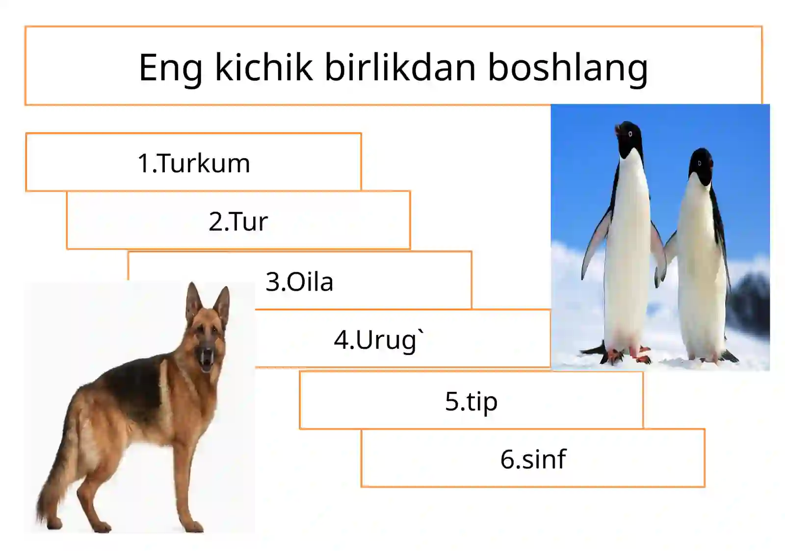 Soxta oyoqlilar sinfi 3