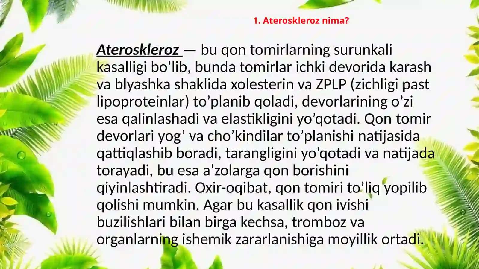 Ateroskleroz 3