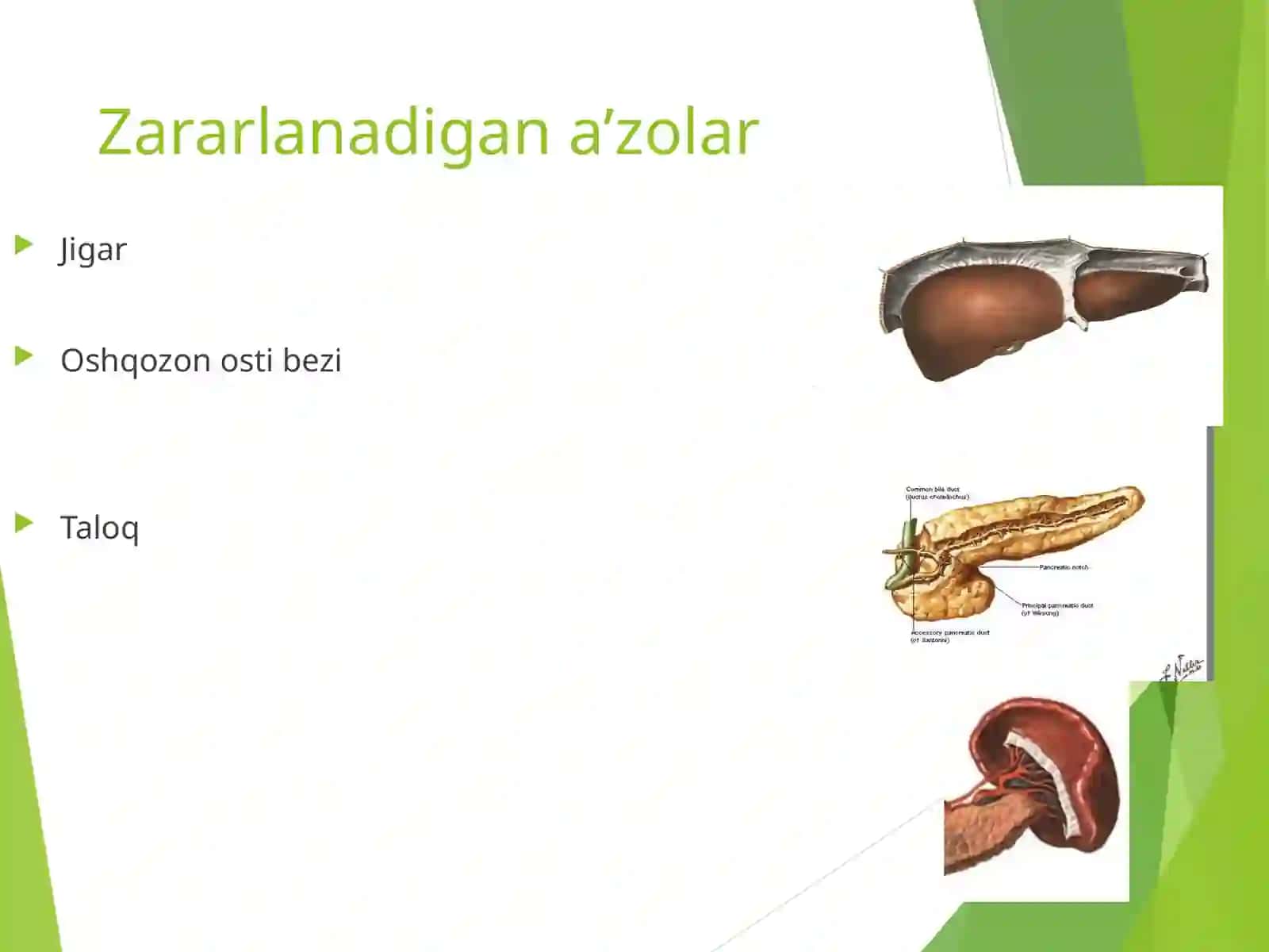 Jigar, taloq, buyrakva meda-ichak tizimi jaroxatlari 3