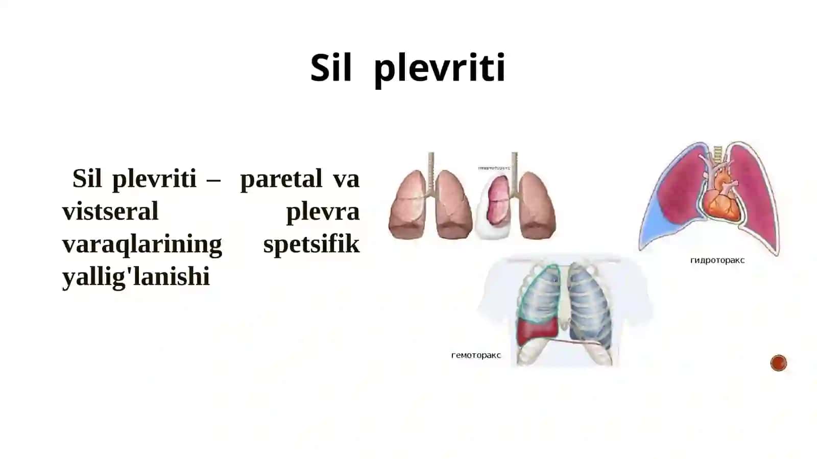 Sil plevriti 3