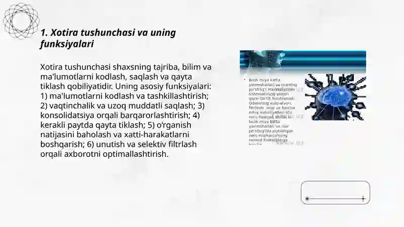 Xotira haqida tushuncha va uning nerv -fiziologik asosi 3