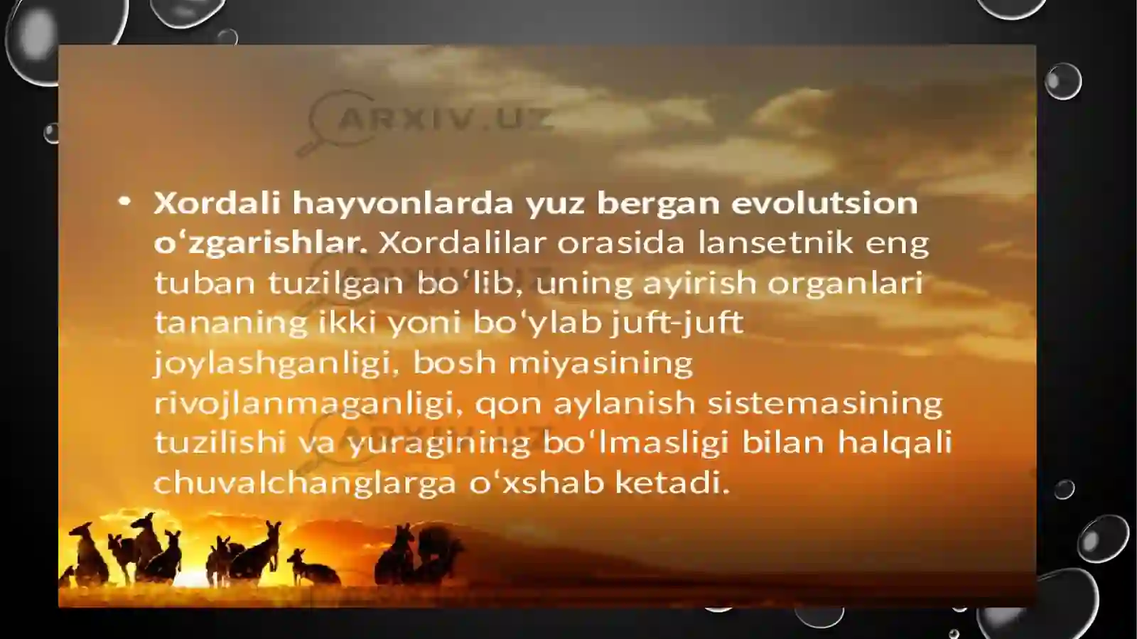 Xordalilar (Chordata) 3