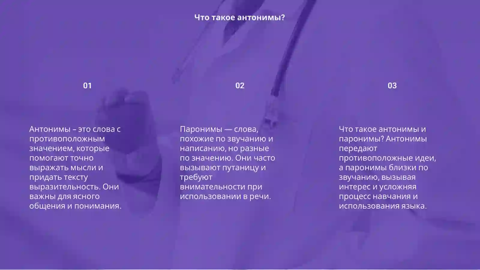 Антонимы. Паронимия 3