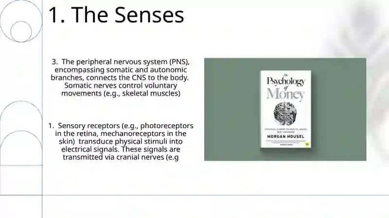 Brain and nervous system 3