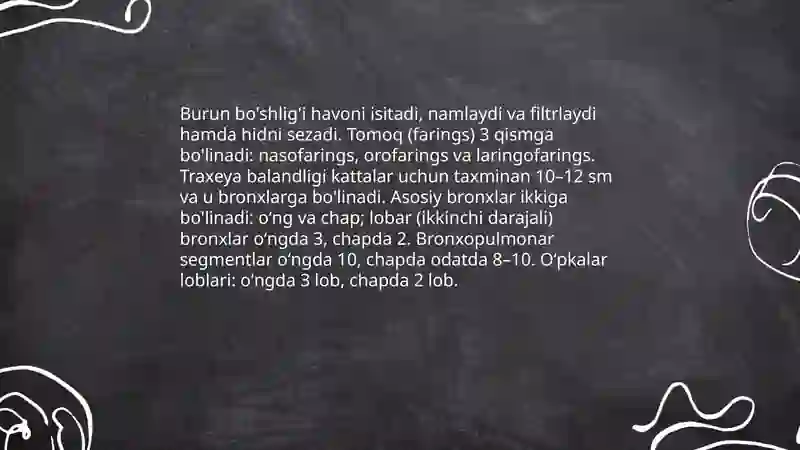 Nafas olish tizimi 3