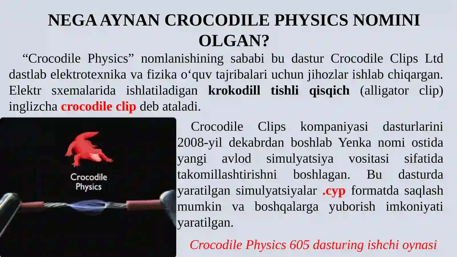 CrocodilePhysics 605 3