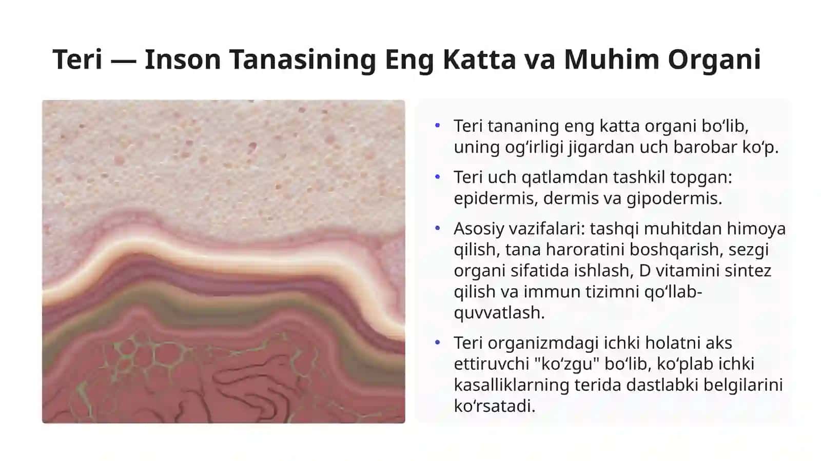 Teri kasalliklarini paydo boʻlishida ichki patologiyaning ahamiyati haqida umumiy maʼlumot 3