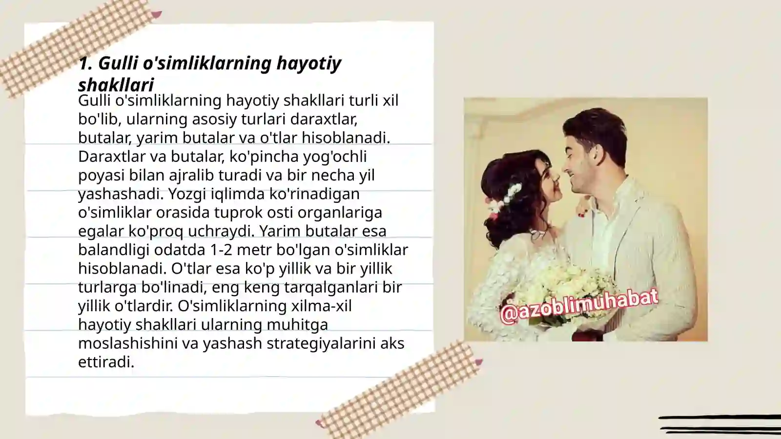 Gulli o'simliklarning hayotiy shakillariga doir masala va mashqlar 3