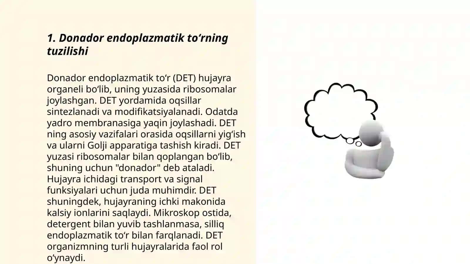 Donador va silliq endoplazmatik toʻr 3