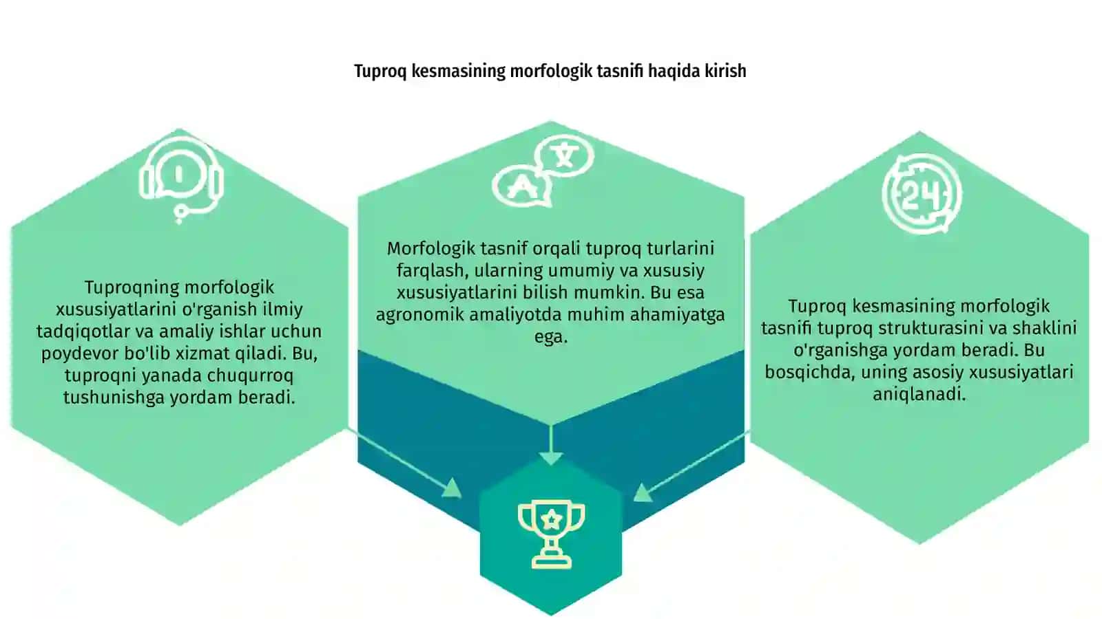 Tuproq kesmasining morfologik tasnifini o'rganish 3