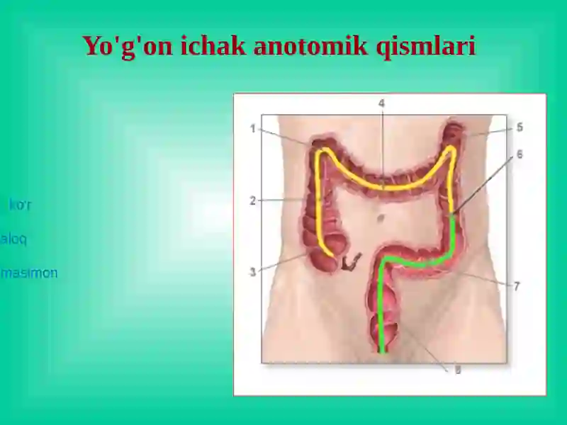 Yo'g'on ichak kasalliklari 3