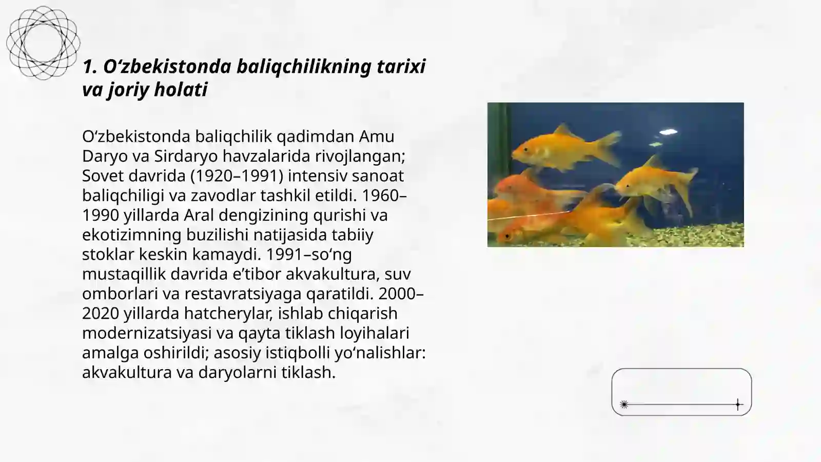 Baliqlarni muhofaza qilish va ulardan oqilona foydalanish masalalari.Oʻzbekistonda baliqchilik 3