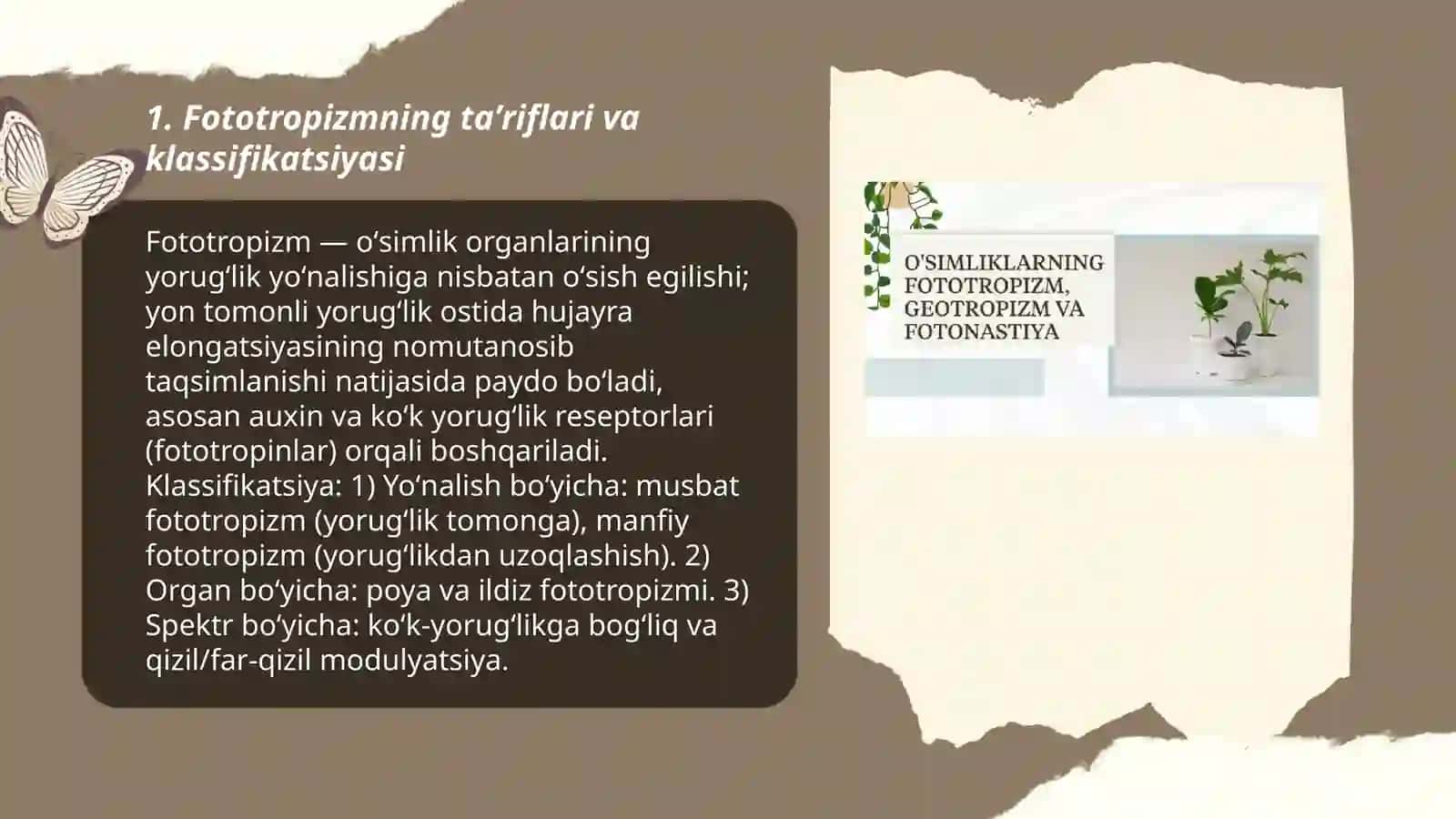 Fototropizm, fotonastiya va geotropizm hodisalari 3