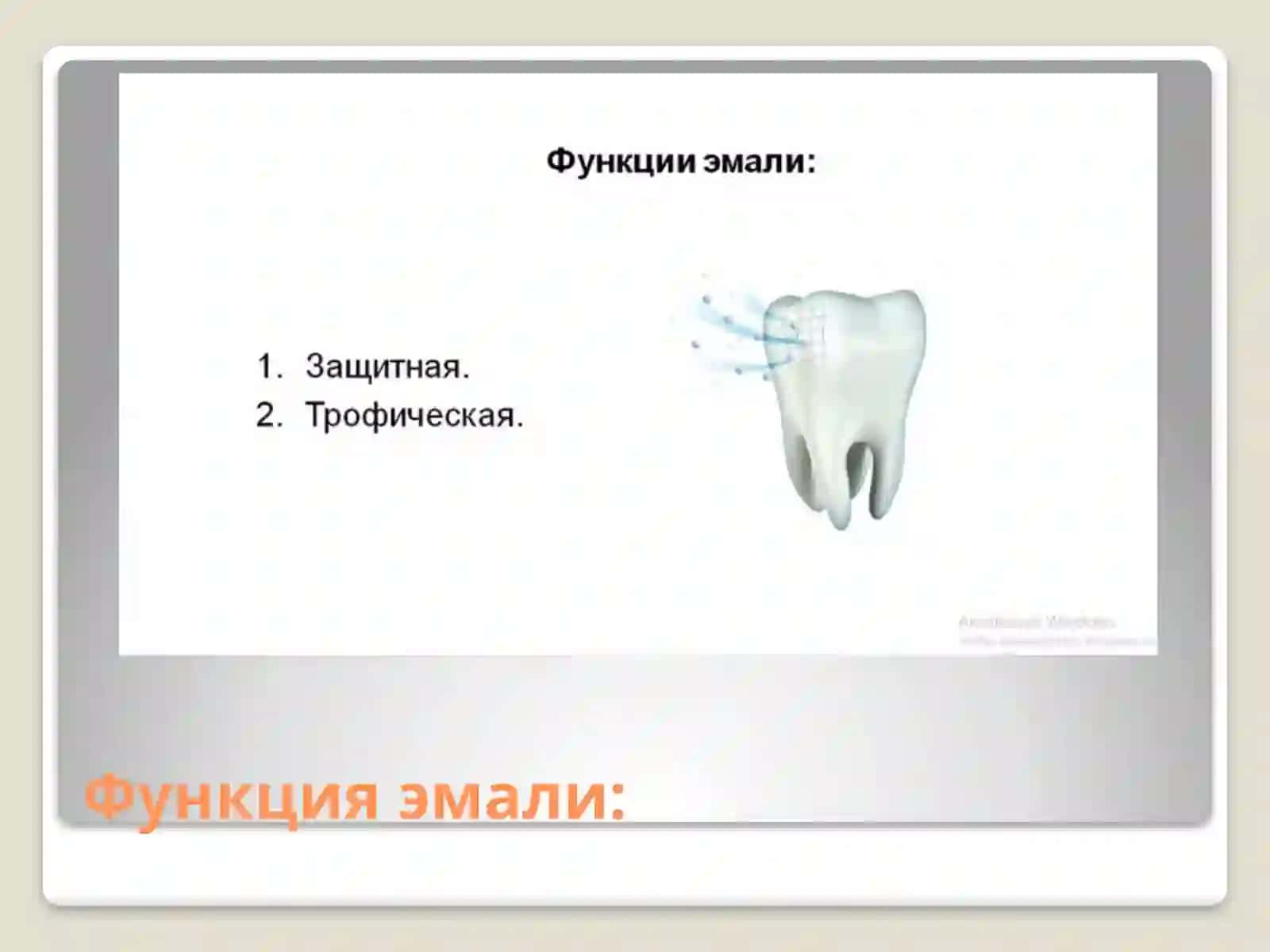 Эмаль зуба 3