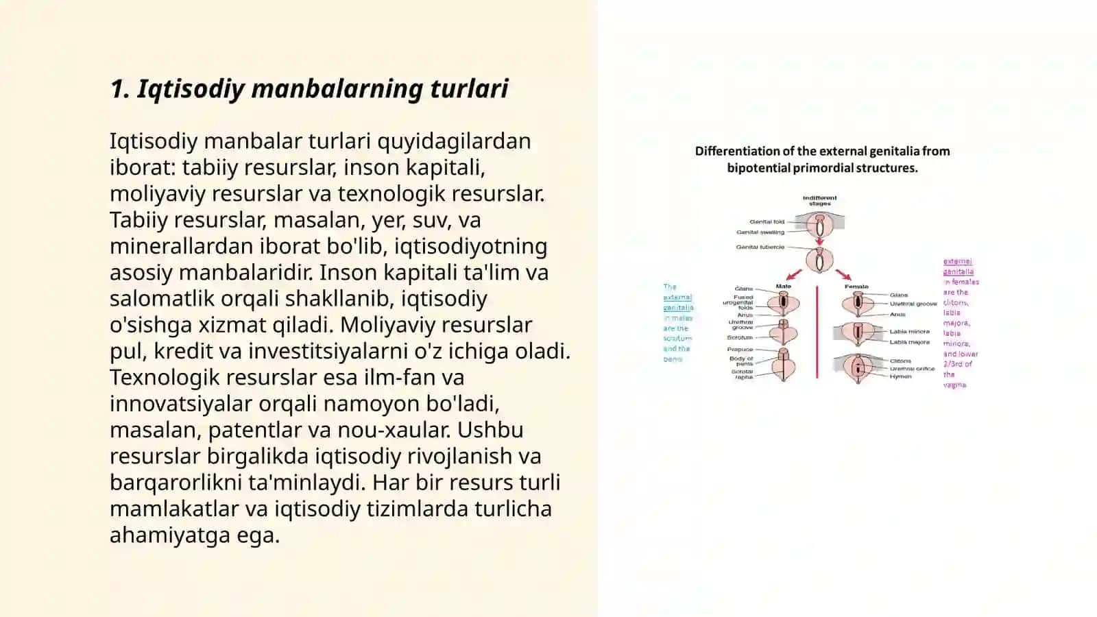 Iqtisodiy manbalarning turlari va ularni tashkil qilishning asosiy tamoillari 3