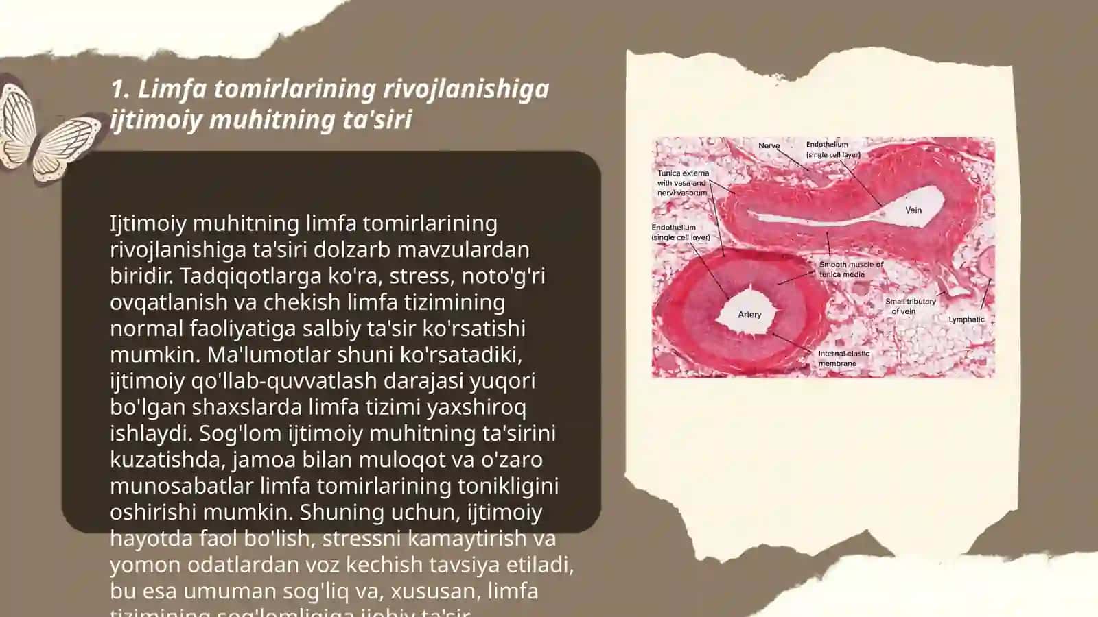 Limfa tomirlarini rivojlanishiga va tuzilishiga ijtimoiy va biologik muhitlarning ta'siri 3