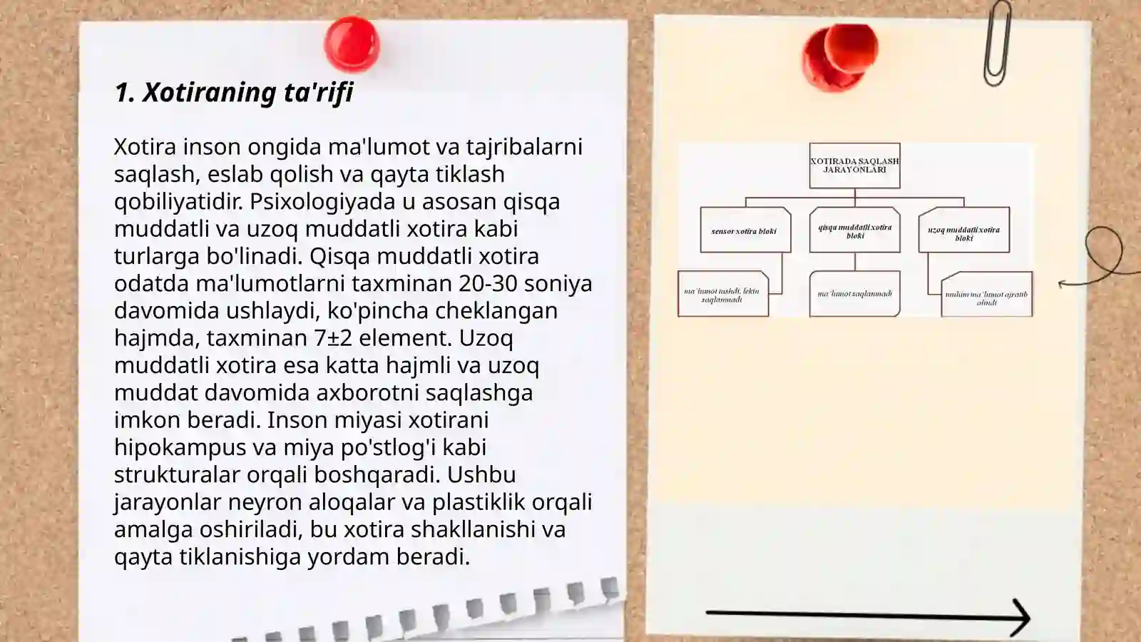 Xotira haqida tushuncha va uning nerv-fiziologik asosi 3