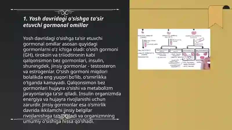 Yoshlik davrining morfologik va fiziologik xususiyatlari 3