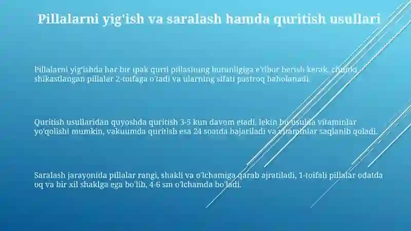 Ipak qurti tiximi naytash usullari 3