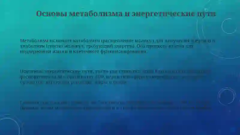 Лечебное дело 3
