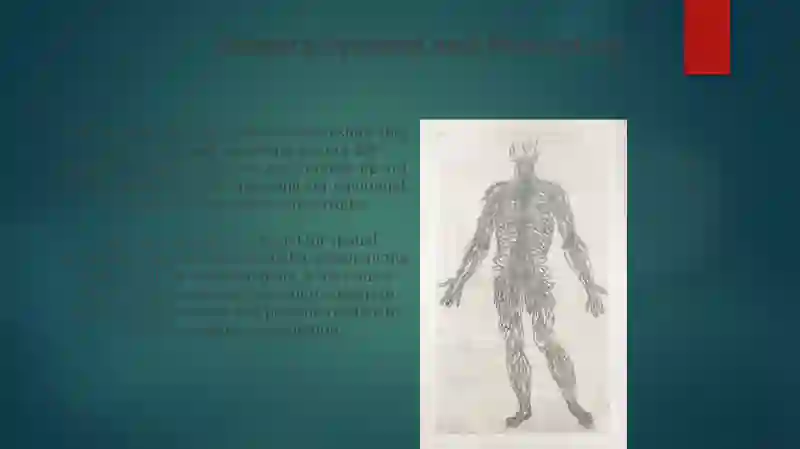 Nervous System 3