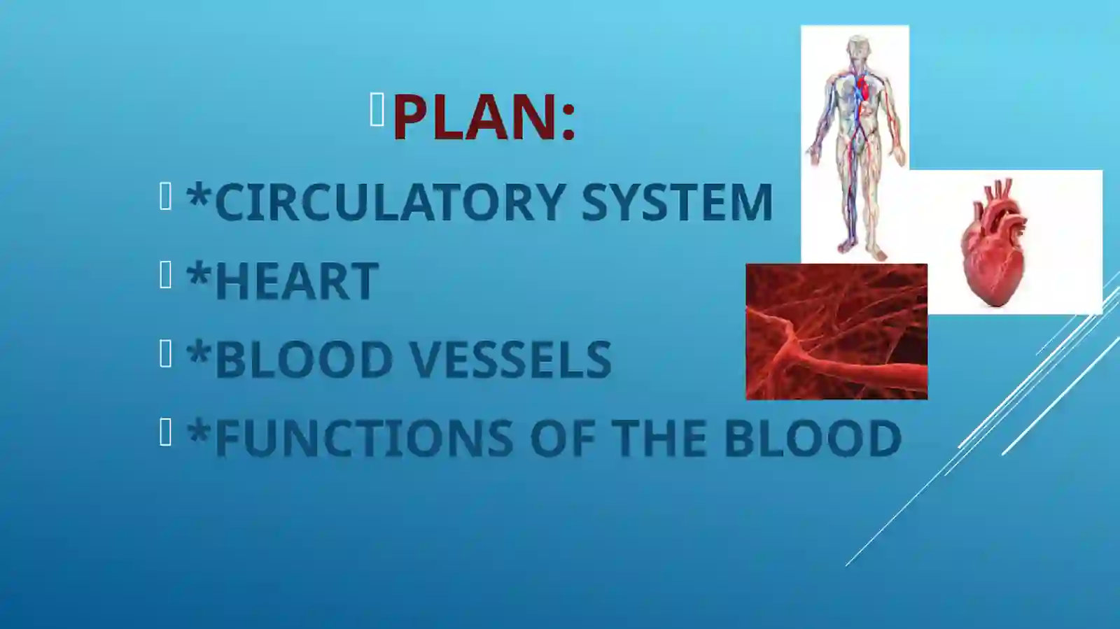 HEART AND A VASCULAR SYSTEM 3