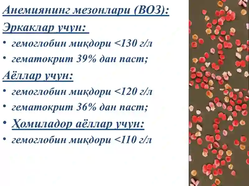 Анемия тўғрисида тушунча 3