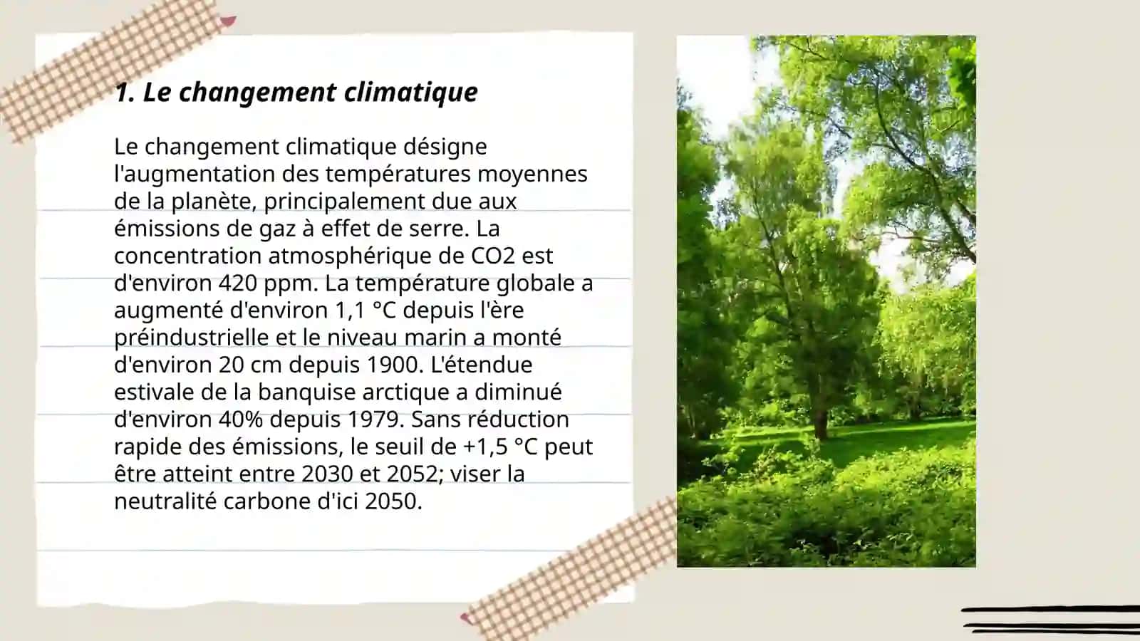 L'environnement 3