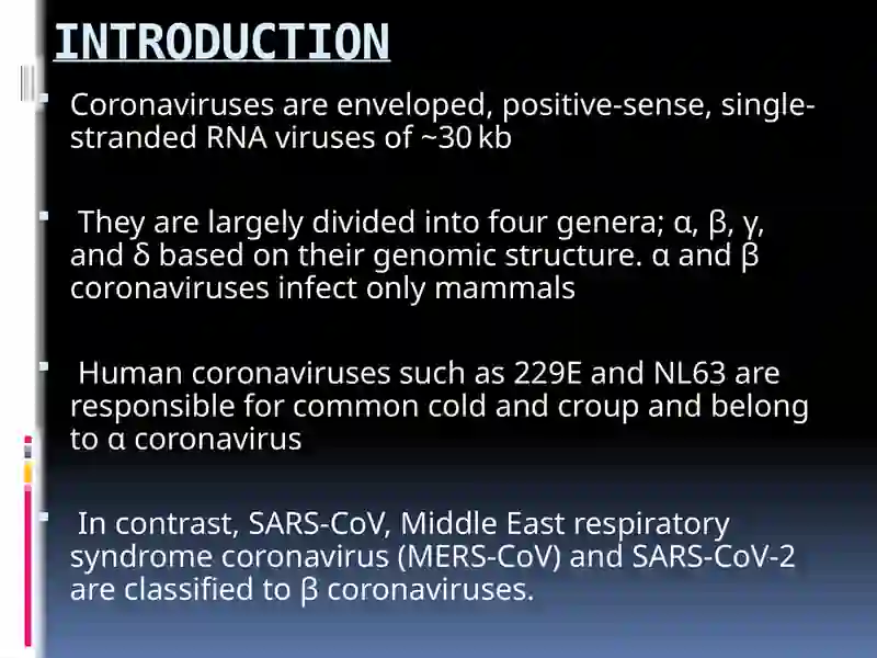 Coronavirus Infection 3