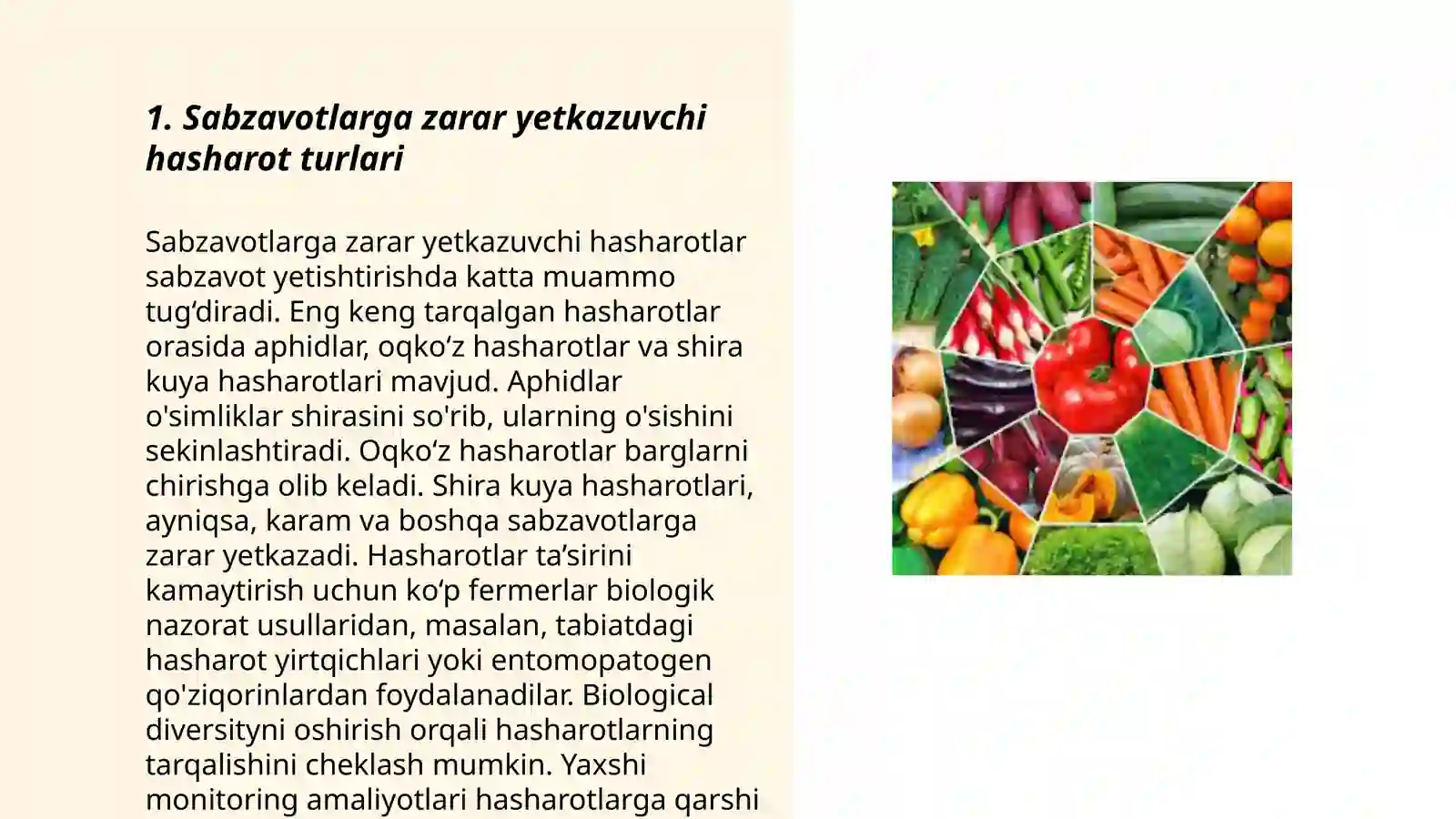 Hasharotlar haqida 3