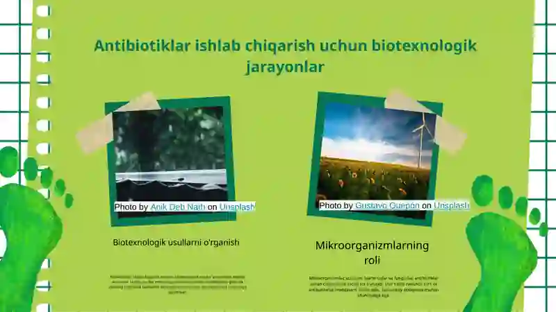 Antibiotiklar ishlab chiqarish biotexnologiyasi 3