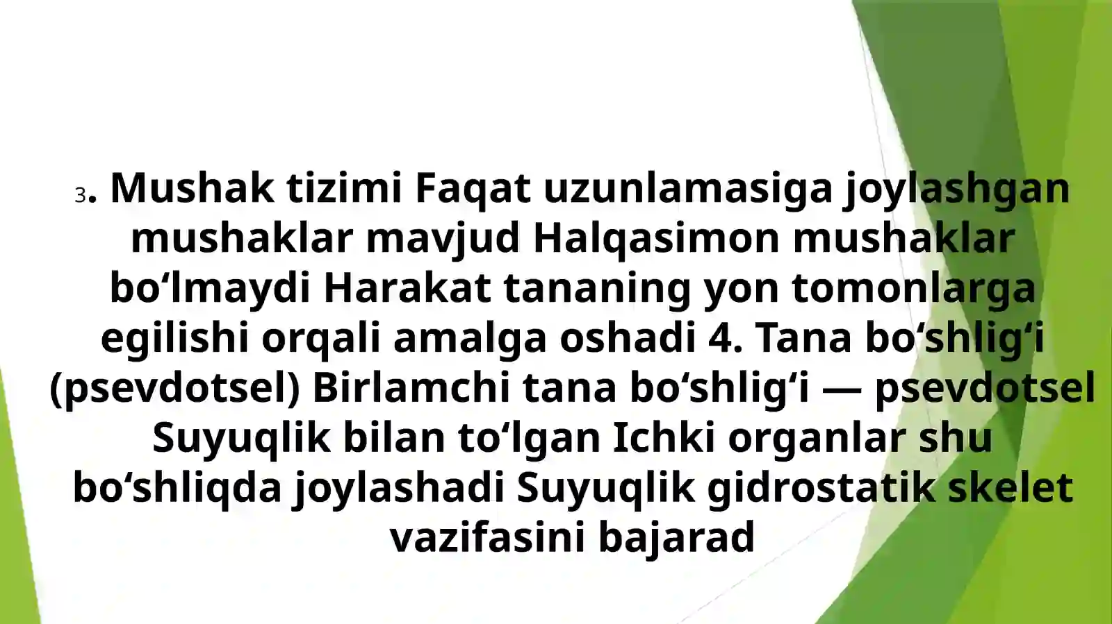 To‘garak chuvalchanglarning tana tuzilishi 3