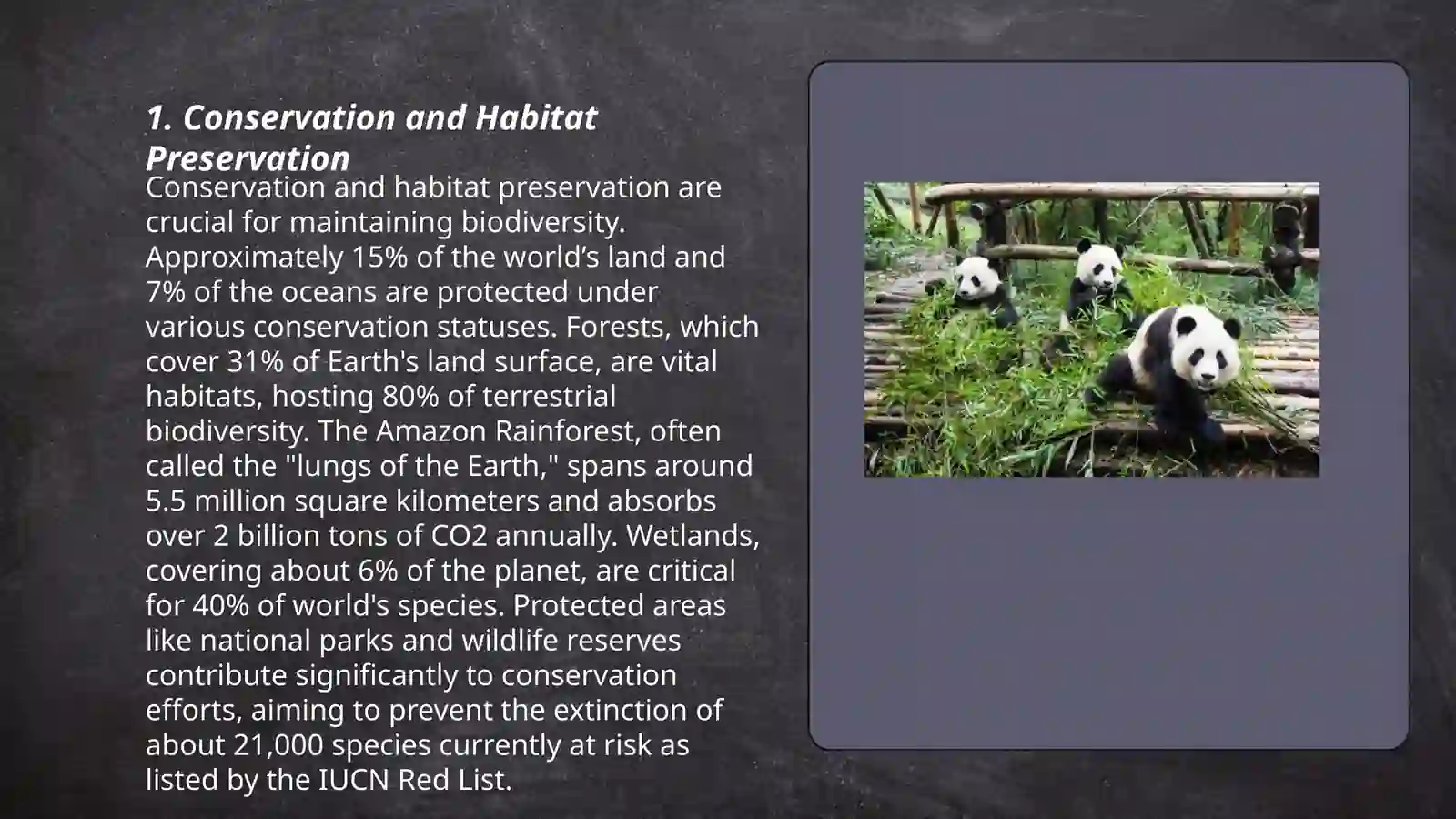 Protecting endangered species 3