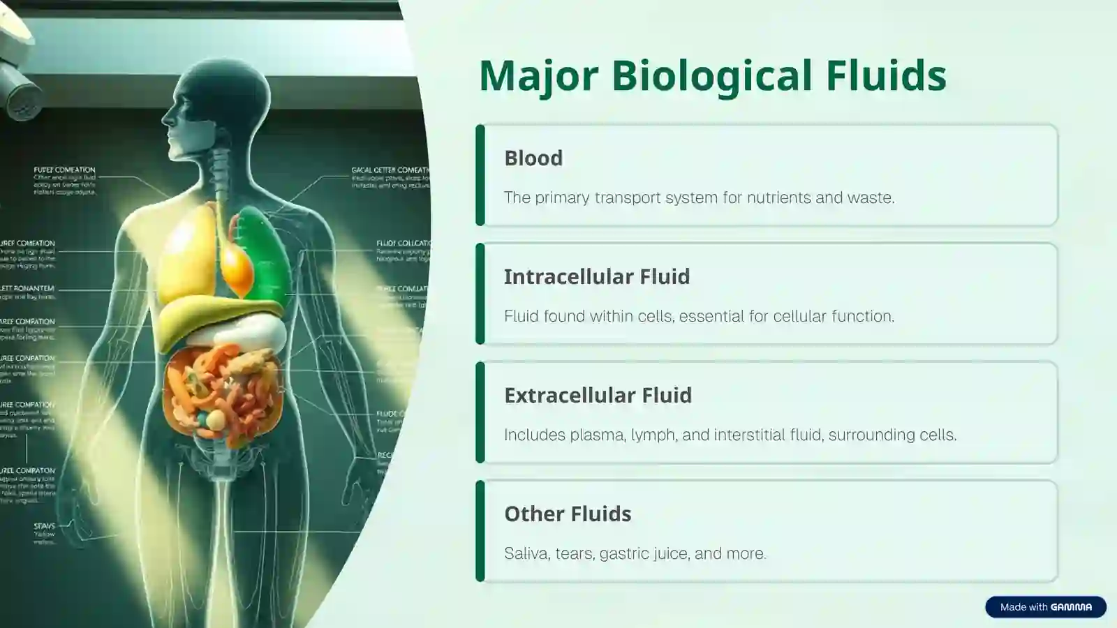 Biological Fluids: The Body's Electrolyte Solutions 3