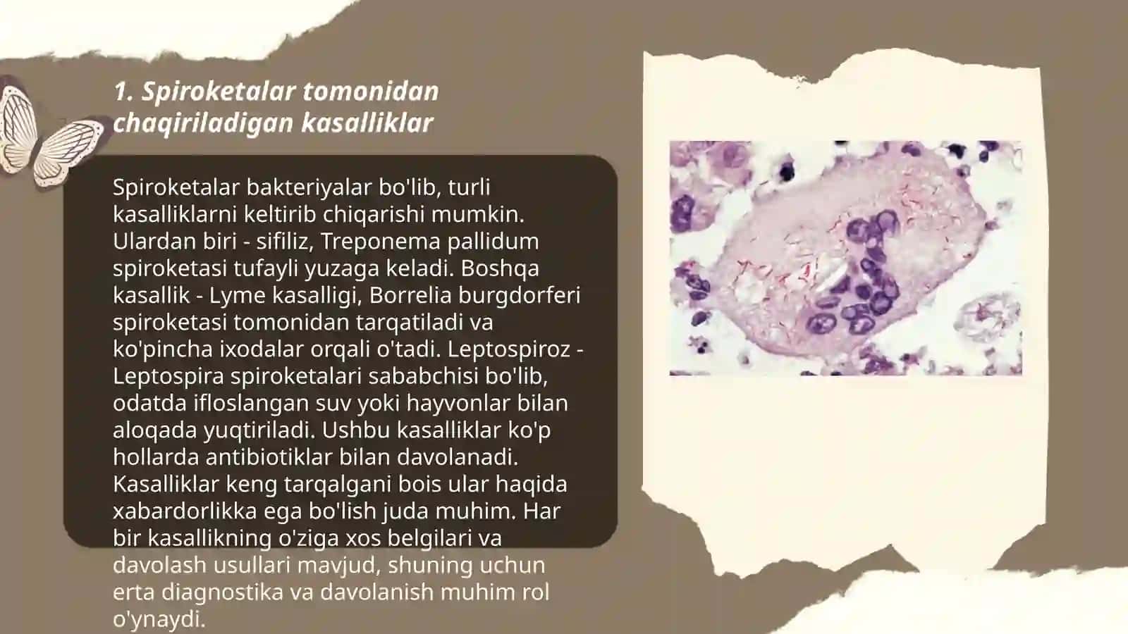 Potogen spiroxetalar va riketsiyalar keltirib chiqaradigan kasalliklar 3