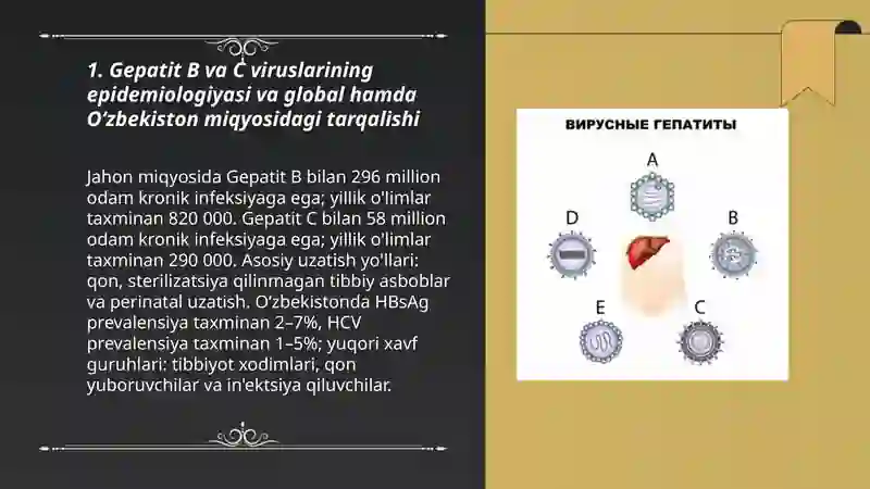 Gepatit B va C viruslari 3