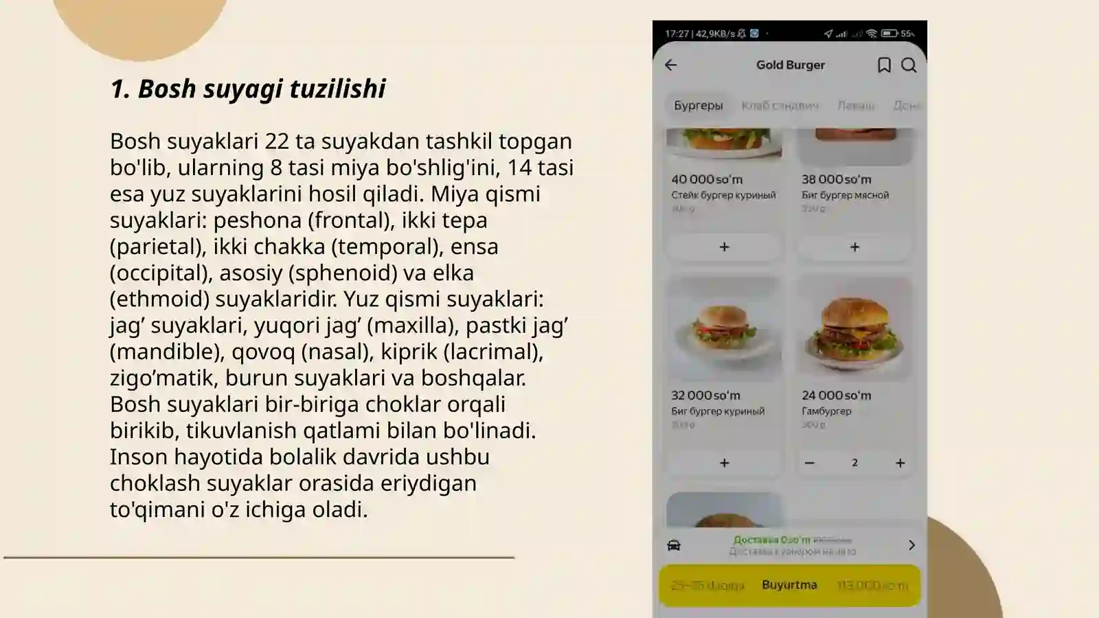 Bosh suyagi qismlari 3
