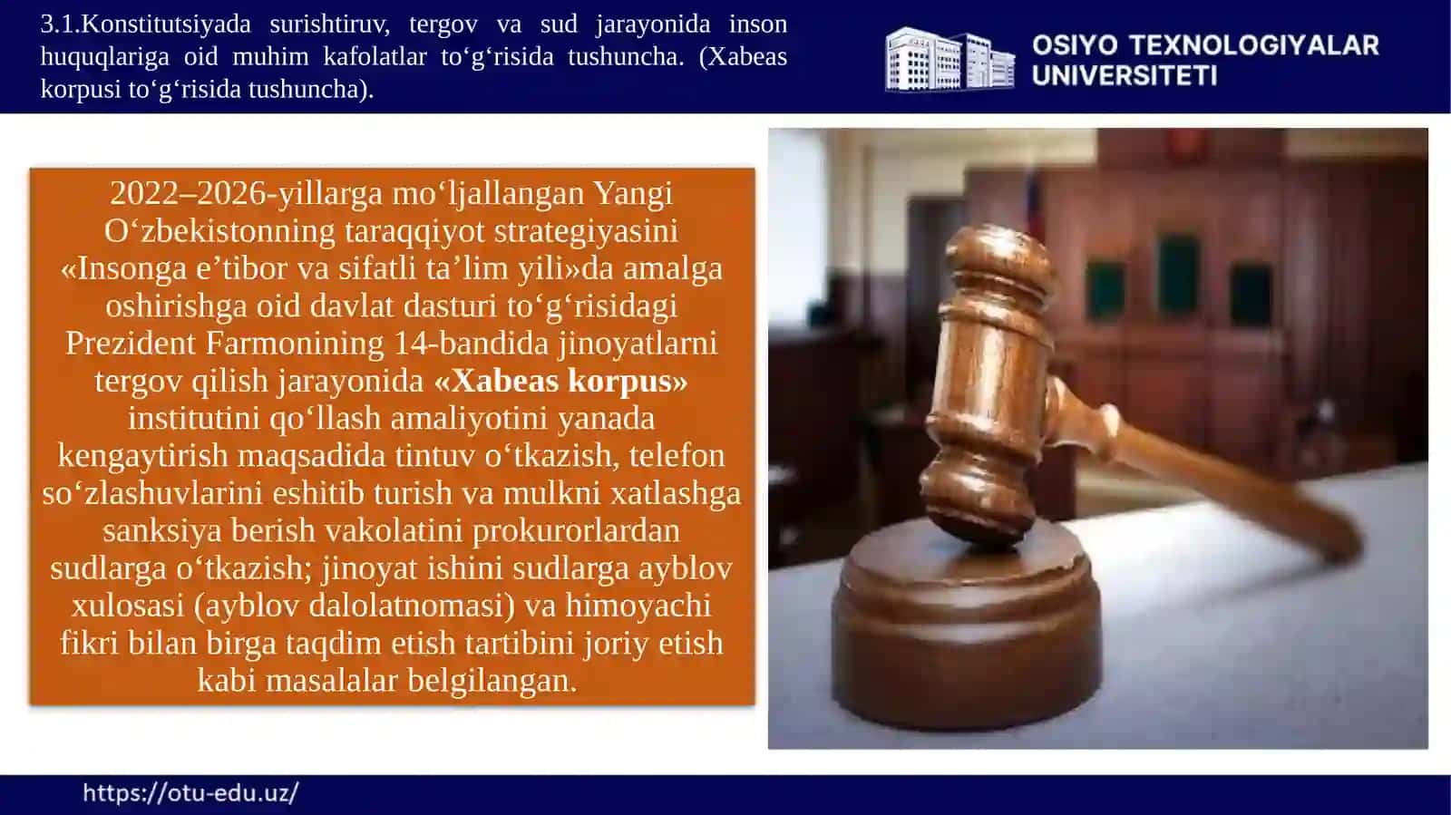 Konstitutsiyada Surishtiruv, Tergov va Sud Jarayonida Inson Huquqlariga oid Muhim Kafolatlar 3