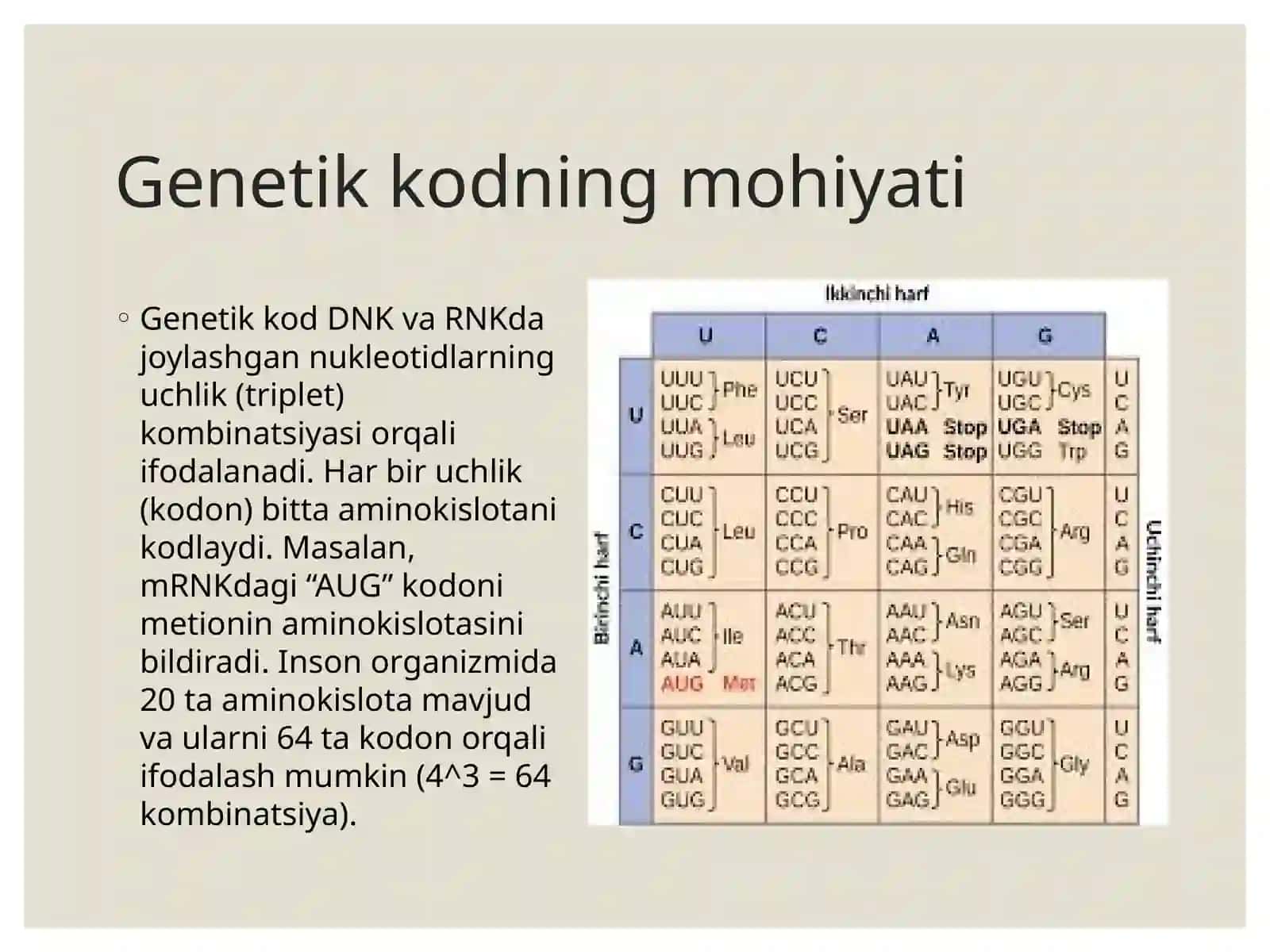 Genetik Kod va uning Translyatsiyadagi O'rni 3