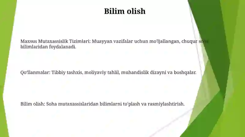 Maxsus ekspert tizimlari 3