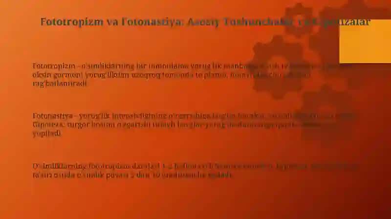 Fototropizm va Fotonastiya bo'yicha tajriba darsi 3